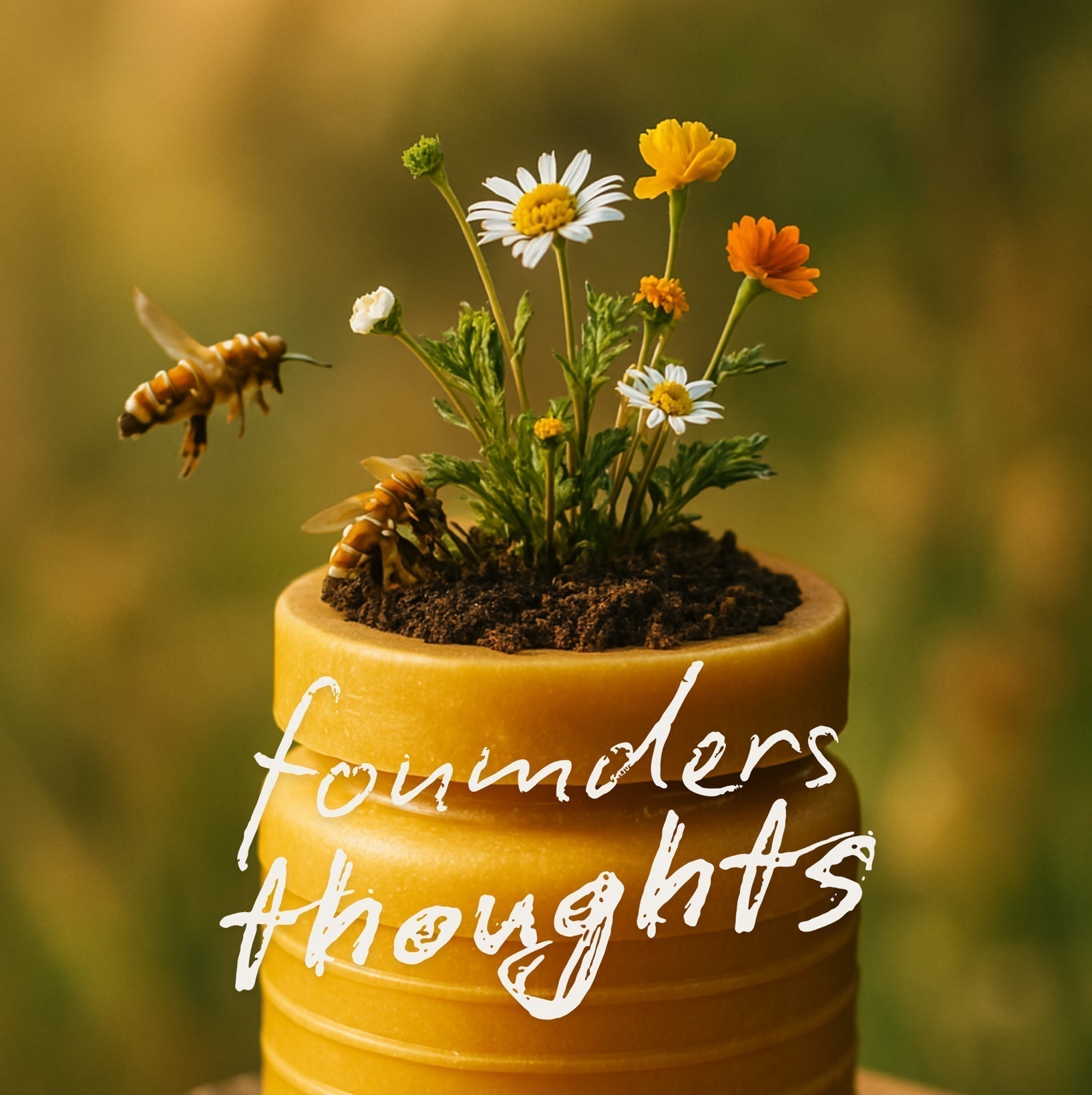 Founder’s Thoughts: We’ve Started Production… But the Real Work Begins Now