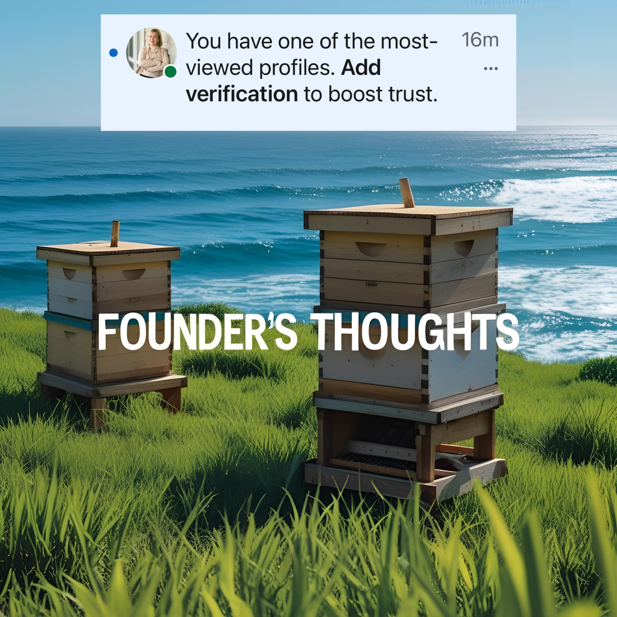 Cutting Through the Buzz: This Week in the Hive